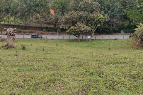 lotepontezuelaantioquia-12-gestiglovar