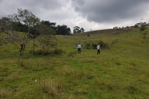 lotepontezuelaantioquia-14-gestiglovar