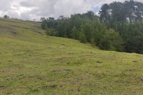 lotepontezuelaantioquia-7-gestiglovar